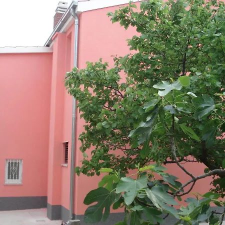 Borna * Сплит